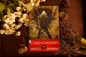 Read more about the article Book Review: The Time of Contempt by Andrzej Sapkowski (The Witcher Saga #4)