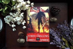Read more about the article Book Review: The Tower of Swallows by Andrzej Sapkowski (The Witcher Saga #6)